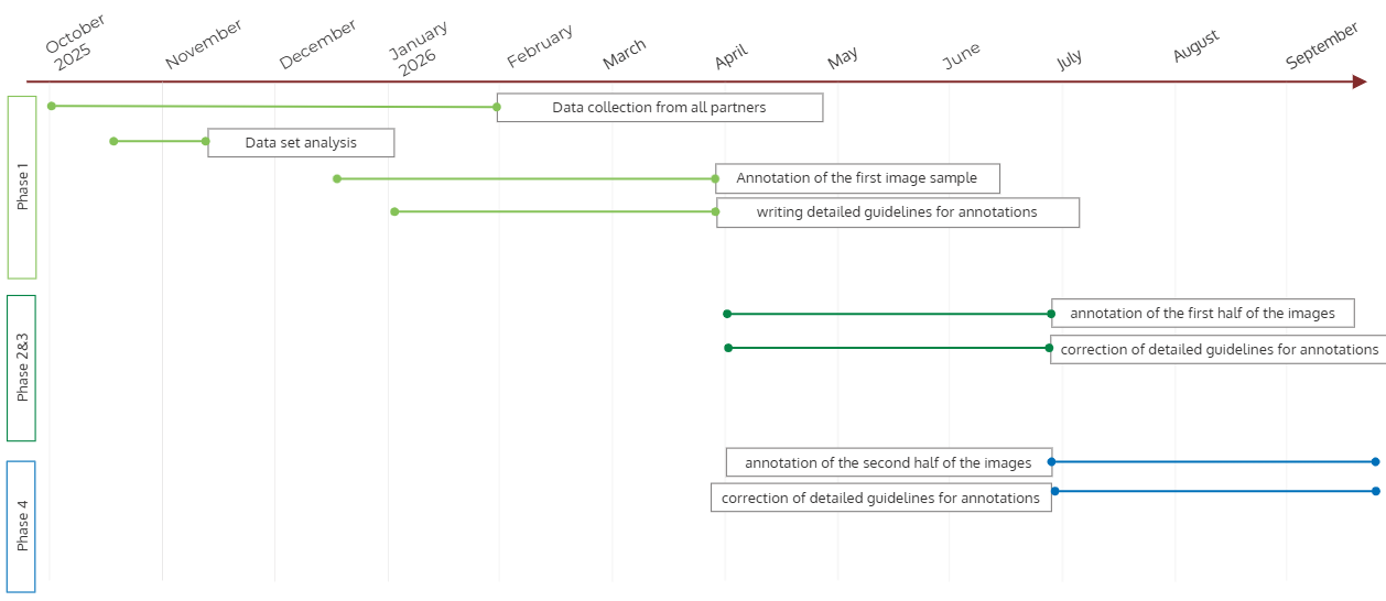 Timeline